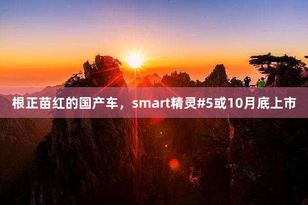 根正苗红的国产车，smart精灵#5或10月底上市