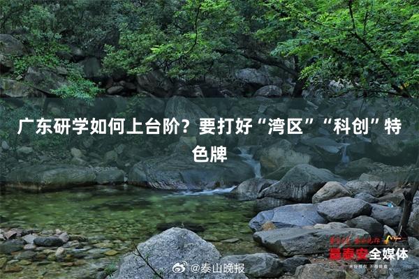 广东研学如何上台阶？要打好“湾区”“科创”特色牌