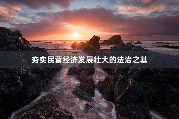 夯实民营经济发展壮大的法治之基