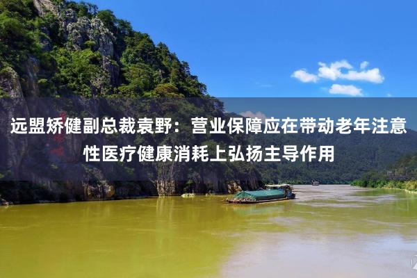 远盟矫健副总裁袁野：营业保障应在带动老年注意性医疗健康消耗上弘扬主导作用