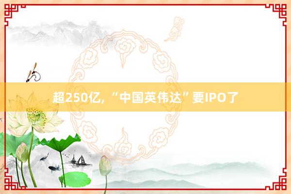 超250亿, “中国英伟达”要IPO了